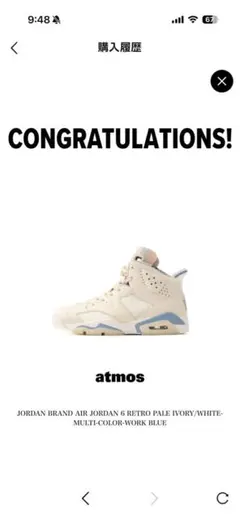 【日本限定モデル】Jordan Air Jordan 6 Retro