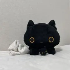 サンエックス 靴下にゃんこ ノルッチ くったり ぬいぐるみ - メルカリ