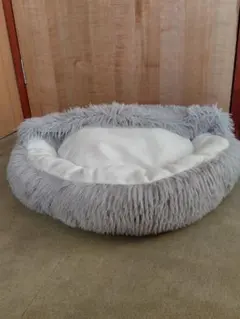 Item thumbnail for item a5584492-bbb2-4394-b7d1-aa8dcd333dd2