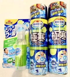 小林製薬 熱中対策 シャツクール100ml 極寒スプレー2本セットのサムネイル
