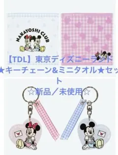 【TDL】東京ディズニーランド★キーチェーン&ミニタオル★セット☆新品／未使用☆