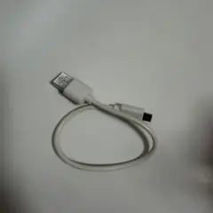 ⭐️新品未使用 Micro USB Type-B, Type-A