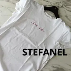 h290ステファネルロゴプリント Tシャツ ホワイト Mサイズ イタリア 半袖のサムネイル