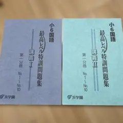 2026年最新】浜学園 小6 最高レベル特訓 テキストの人気アイテム
