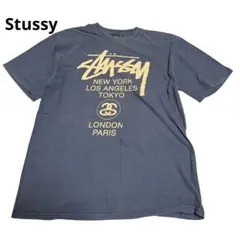 STUSSY ステューシー ワールドツアー Tシャツ