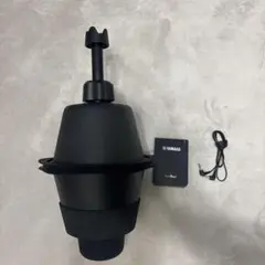 Item thumbnail for item d1e0dd06-d403-4940-8b46-b89a6d9d9d35