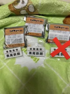 ハイキュー!!トレーディング名札クリップセレクション vol.1 黒尾鉄朗