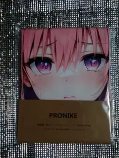 PRONIKE バスタオル地タペストリー 061-4 モモ