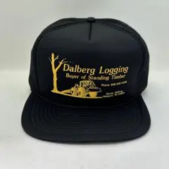 【c160】レア！企業ロゴ ヴィンテージキャップ 日本未発売us買付け