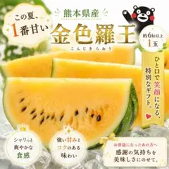 熊本県産 金色羅皇 4〜6キロ以上 特大サイズ 希少な黄色果肉スイカ