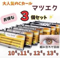 hi-様専用　マツエク　セルフ　Cカール　10束　まつ毛エクステ　つけまつ毛