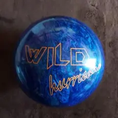 Item thumbnail for item 6950340e-7495-4318-bfea-2c66f75753a4