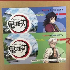 鬼滅の刃 東京ドームシティ チケット風カード 不死川実弥 冨岡義勇