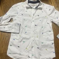 極美品！130 シャツ男児　恐竜　白シャツ
