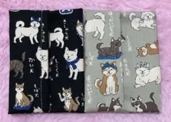 Item thumbnail for item b359c921-17bf-47ee-8006-9ee141bba881