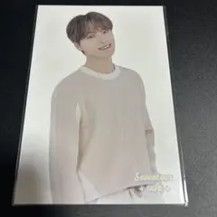 디노 엽서