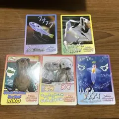 鳥羽水族館 70th TOBA AQUARIUMコレクションカード 2パック♪♪ - メルカリ