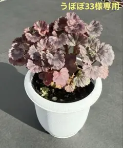 うぽぽ33様 リクエスト 2点 まとめ商品