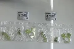 TWICE LOVELY'S アクリルカラビナフロッキーマスコット　ジョンヨン