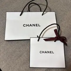 CHANEL ショップ袋 2個セット