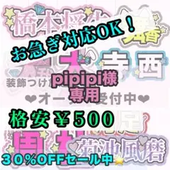【専用ページ】ｐｉｐｉｐｉ様