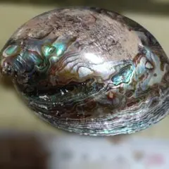 Item thumbnail for item b25ffad4-6099-4d86-a0bc-e8a41a89f9b9