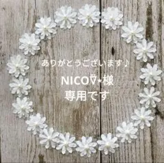 NICO⍢⋆様　専用となります。
