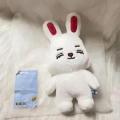 レア LINE FRIENDS 箱入りぬいぐるみセット ブラウン コニー ムーン