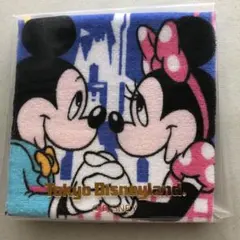 東京ディズニーランド ミッキー ミニー タオル