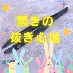 Item thumbnail for item 5b2d85be-2ecb-45fd-9291-2d3a1c5038e3