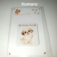 サンキューシール　シーズー　２０枚　犬好き向け　可愛いシール