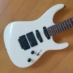【 ピックアップ トーンプッシュで切替 】 FERNANDES フェルナンデス