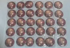 プロセカ 小豆沢こはね グリッター缶バッジ 40B 30点