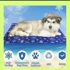 Item thumbnail for item d308707c-1b41-4df0-8c90-ee71ab42480e