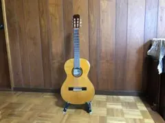 Item thumbnail for item 921d8c5f-d488-4391-ab17-644318a0b042