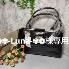 ●❁✾-Luna-✾❁様専用 ⑪新品未使用ダイアン ボードリー ハンドバッグ