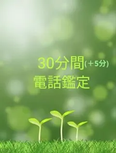 ★30分間(＋5分)電話鑑定★