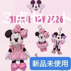 ディズニーストアMINNIE DAY 2026 ぬいぐるみキーチェーン　ミニー ディズニーストア ミニー ぬいぐるみキーチェーン MINNIE DAY 2026