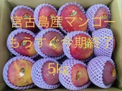 訳あり】沖縄県産 マンゴー 約2.0kg（箱込み） 5玉（農家直送・クール