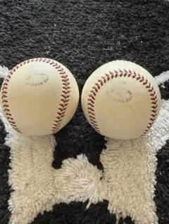 Item thumbnail for item 423b164c-e592-4abc-b330-bd3aa09d7e9f