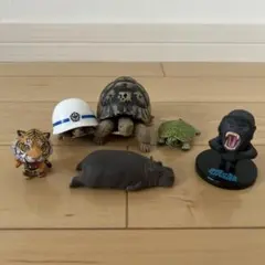 動物フィギュア ６点セット