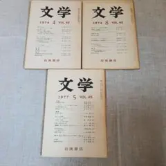 文学 3冊セット 岩波書店