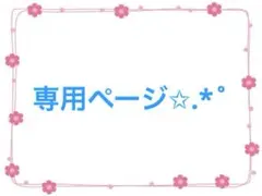 専用ページ✩.*˚