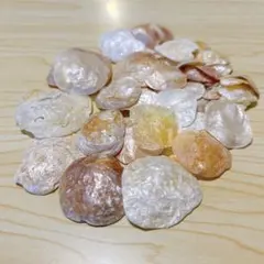 わたあめ様 リクエスト 2点 まとめ商品