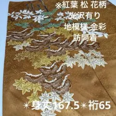 訪問着 紅葉と花の染め柄 地模様 金彩 正絹 広衿 袷 紋無しYK-953