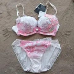 サルート　E70 ブラジャーショーツセット（М）