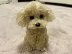 トイプードル編みぐるみ（植毛）　犬 【お座りポーズ】アプリコット