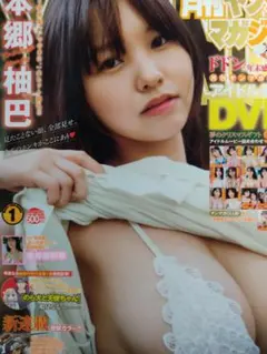 Item thumbnail for item 9c493368-2484-4bc0-ae8e-1544cb54b9b3