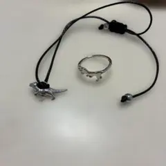 専用 ティラノサウルス アクセサリー セット