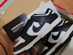 新品未使用 Nike Dunk Low Retro DD1391 100